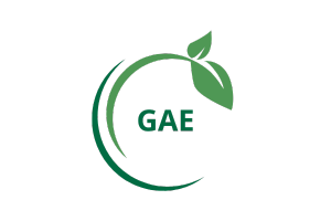 2gae